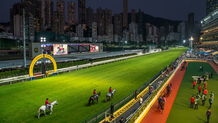 跑馬地馬場夜間賽事現場，觀眾席燈光璀璨，馬匹與騎師正在準備進場，背景是高樓林立的香港夜景，展現出都市與賽馬文化交融的獨特氛圍。